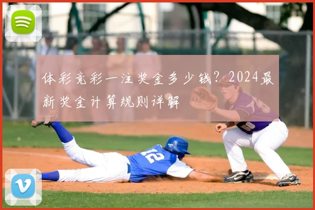 体彩竞彩一注奖金多少钱?2024最新奖金计算规则详解